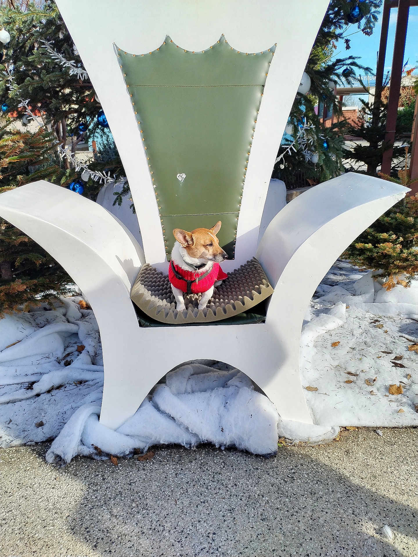 Nuba a rejoint le concours — aidez-le/la à gagner de superbes lots ! dog, small_dog, throne, chair, christmas_tree, ornament, winter, snow, outdoor, pet, red_sweater, festive, seat, cushion, paws, looking_away, holiday_display, decoration, sidewalk, evergreen