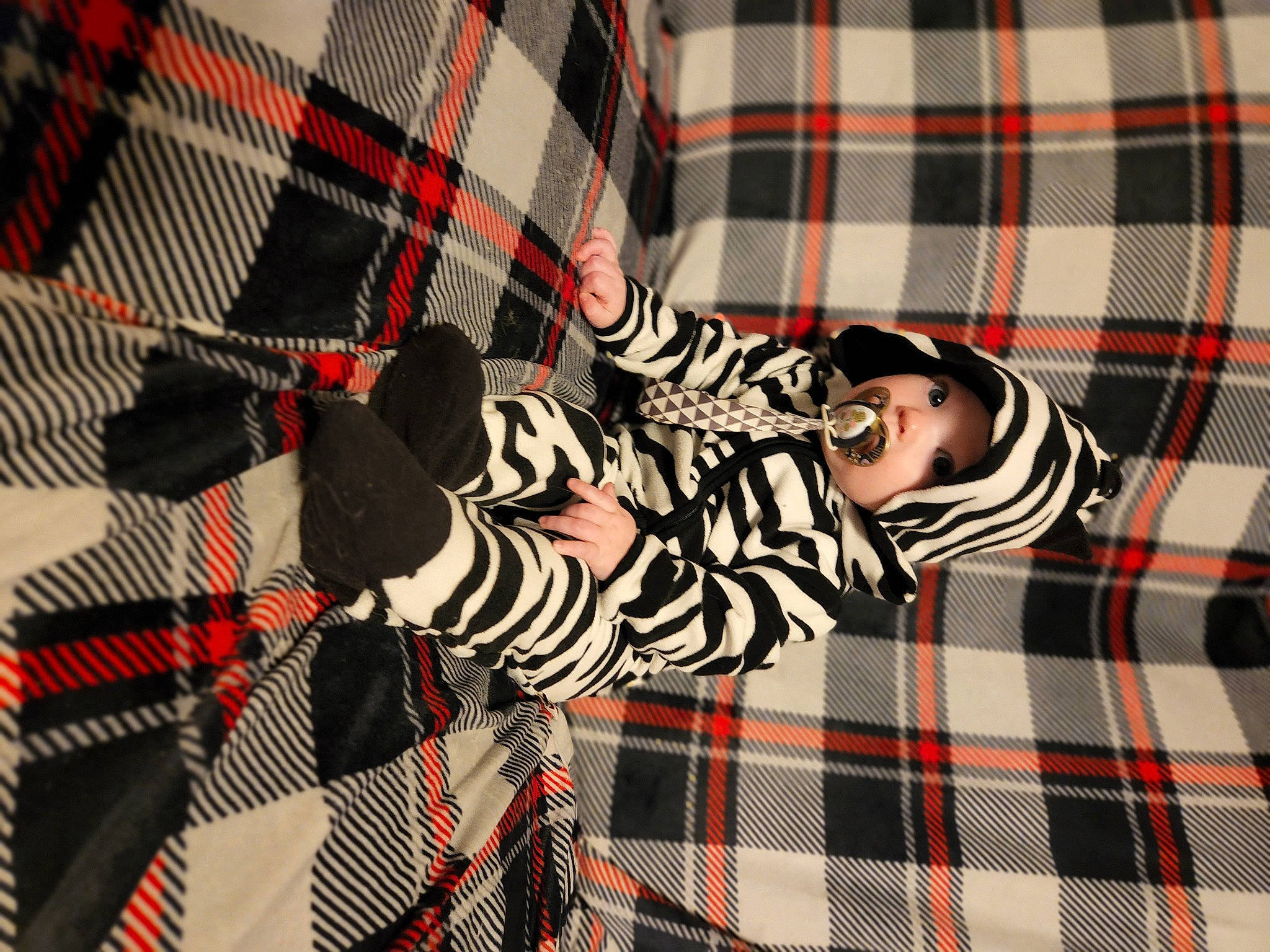 Parker is registered to the contest to win money with this photo: black, carmine, collar, comfort, design, dress, dress_shirt, event, fashion_accessory, headwear, human_leg, linens, pattern, person, plaid, red, sleeve, tartan, textile, tints_and_shades