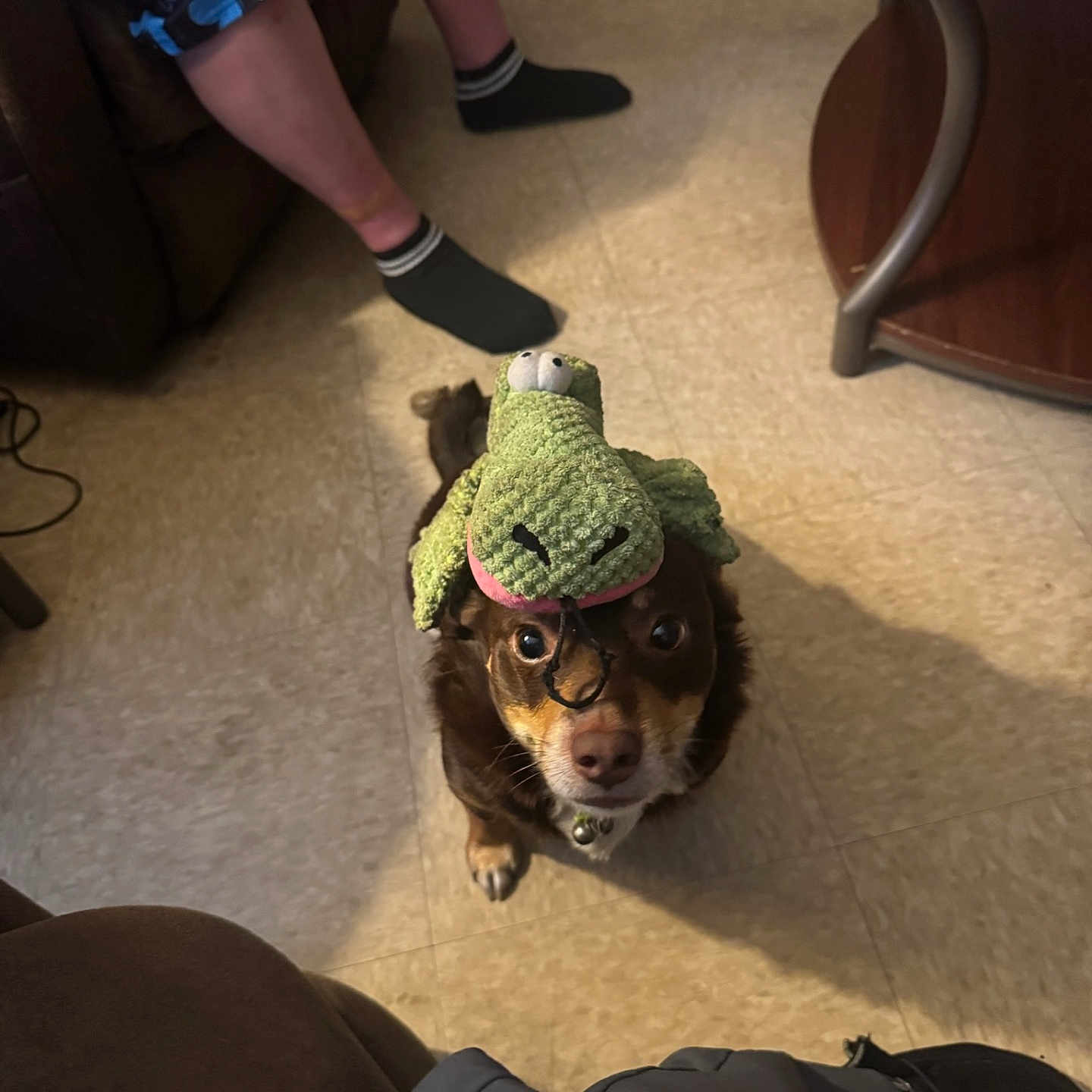 Coco
