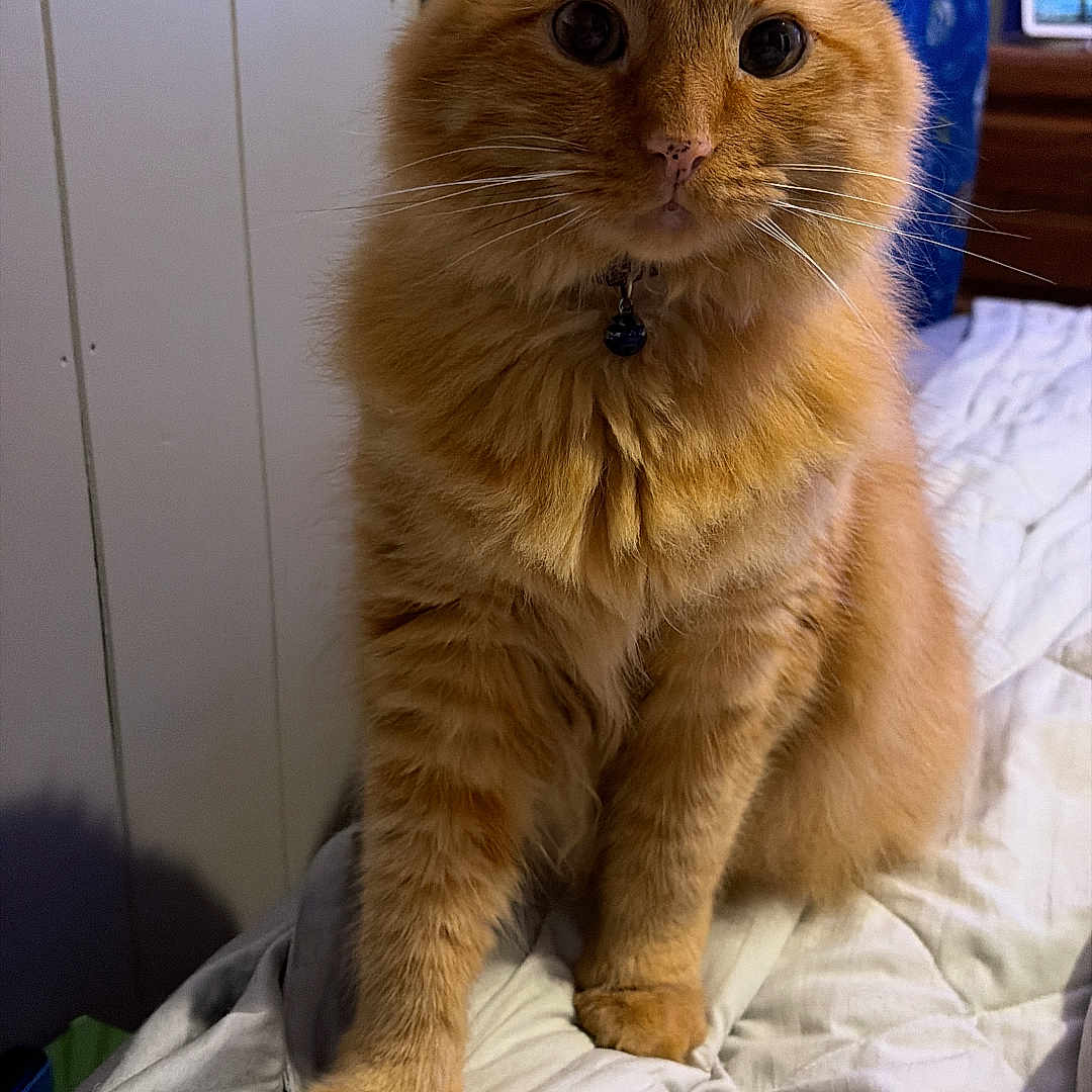 Rusty