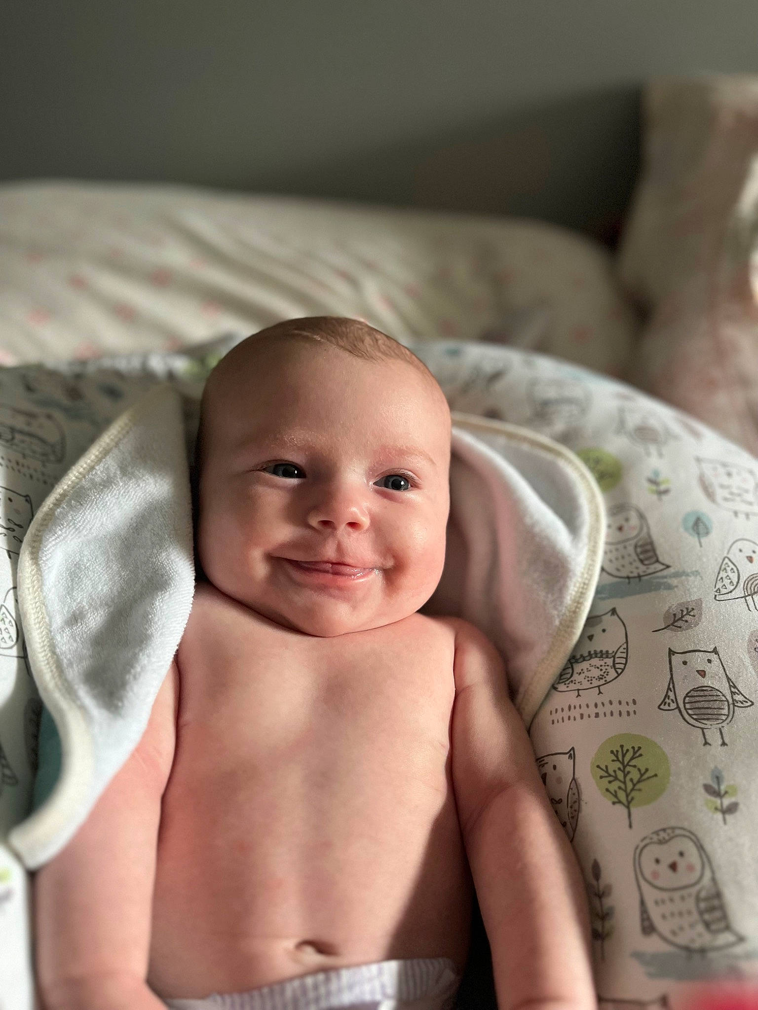 Audrey joined the competition — help win amazing prizes! abdomen, baby, barechested, cheek, chest, child, comfort, couch, event, eyelash, facial_expression, flash_photography, happy, joy, linens, person, portrait_photography, room, sitting, smile