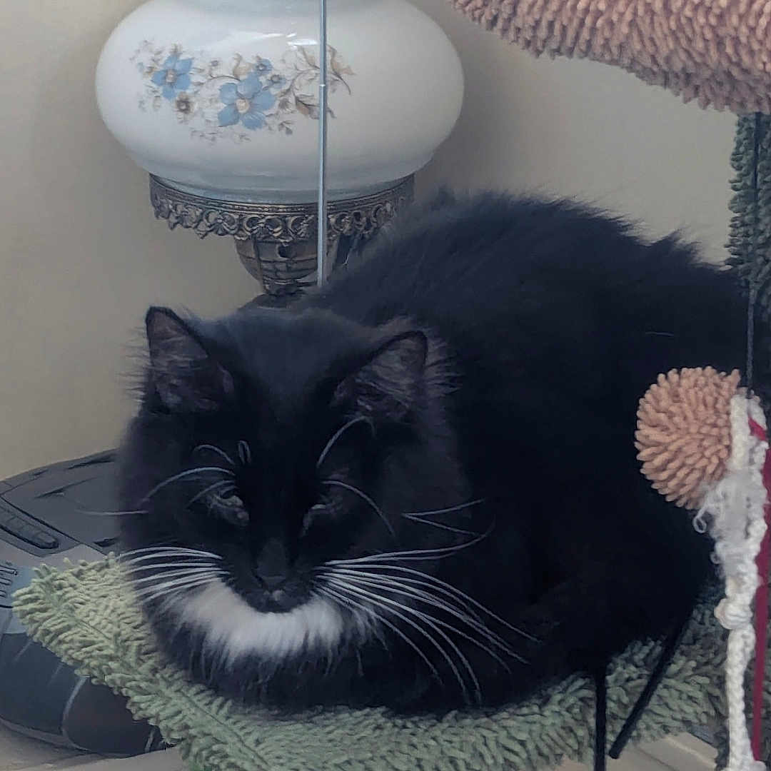 Luna
