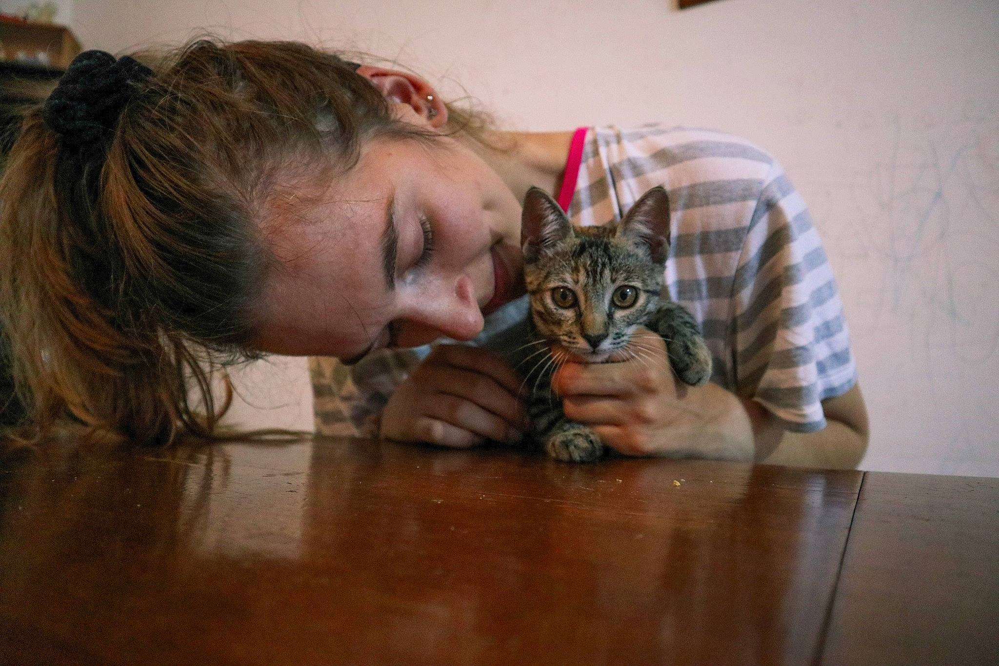 Misty participe au concours pour gagner de l'argent avec cette photo : american_shorthair, asian, bengal, carnivore, cat, domestic_short_haired_cat, dragon_li, european_shorthair, felidae, head, kitten, mammal, mouth, nose, small_to_medium_sized_cats, tabby_cat, toyger, vertebrate, whiskers, wood