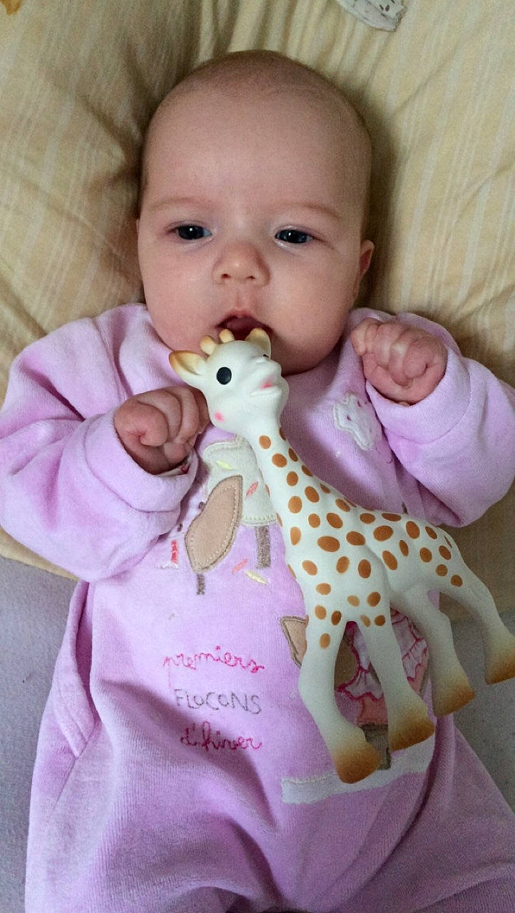Lola a rejoint le concours — aidez-le/la à gagner de superbes lots ! baby, baby_toys, child, fawn, giraffe, giraffidae, head, neck, pattern, person, pink, product, stuffed_toy, toddler, toy