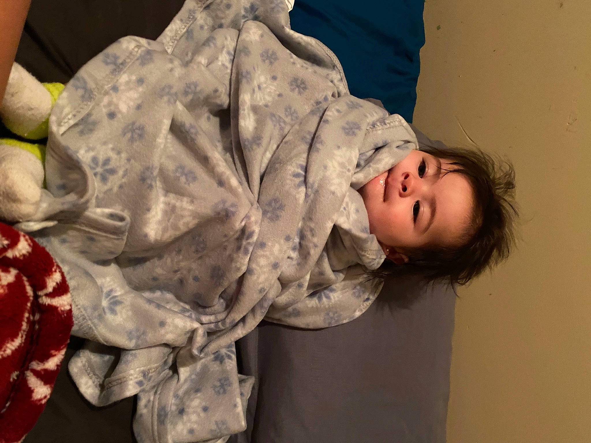 Sapphire is registered to the contest to win money with this photo: baby, beauty, carmine, child, event, flesh, fun, fur, happy, human_body, ingredient, mouth, person, petal, plant, portrait_photography, smile, toddler