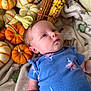 April is registered to the contest to win money with this photo: baby, infant, blue_onesie, floral_pattern, pumpkins, mini_pumpkins, corn, multicolor_corn, blanket, fall, autumn, harvest, cozy, lying_down, face, skin, cute, child, indoors, soft_texture