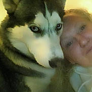 Baby Blu joined the competition — help win amazing prizes! dog, husky, siberian_husky, person, selfie, portrait, cuddle, companion, pet, animal, face, eyes, ears, fur, white_fur, black_fur, indoor, closeup, blurry, friendship