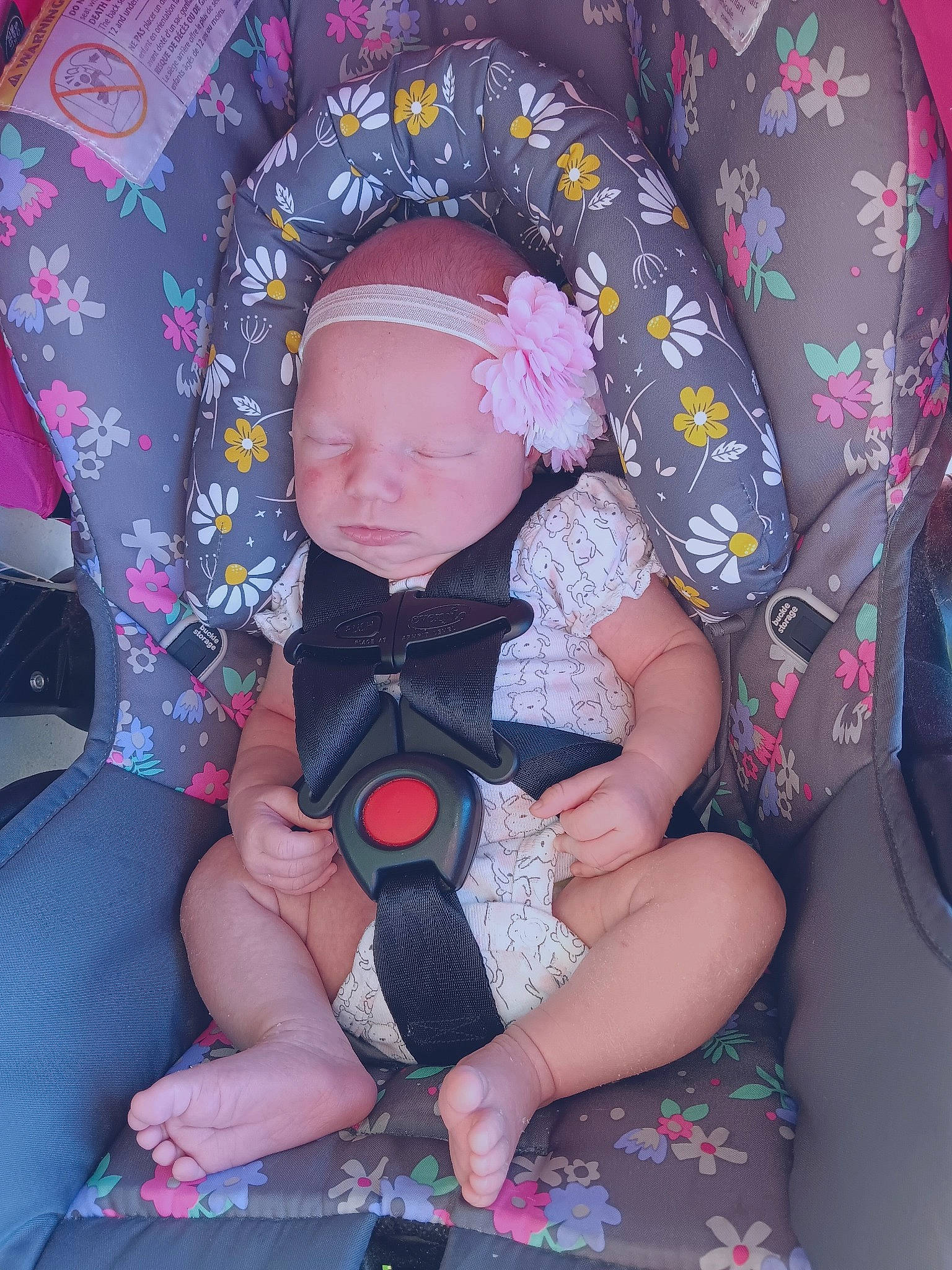 Ariel is registered to the contest to win money with this photo: baby, baby_carriage, baby_products, baby_safety, baby_sleeping, baby_toddler_clothing, car_seat, child, comfort, fashion_accessory, fun, lap, pattern, person, personal_protective_equipment, pink, purple, sitting, sleeve, thigh