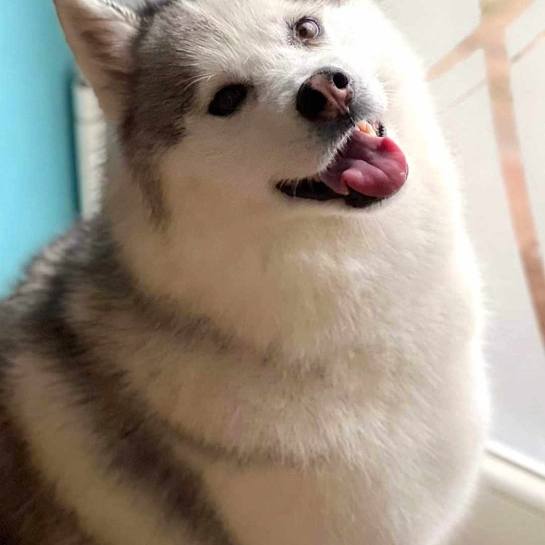 Lexy