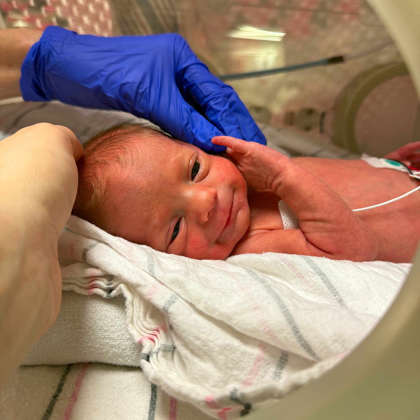 Hadley joined the competition — help win amazing prizes! baby, blanket, care, closeup, cute, fragile, glove, hand, healthcare, hospital, incubator, infant, medical, newborn, patient, person, premature, resting, skin, small