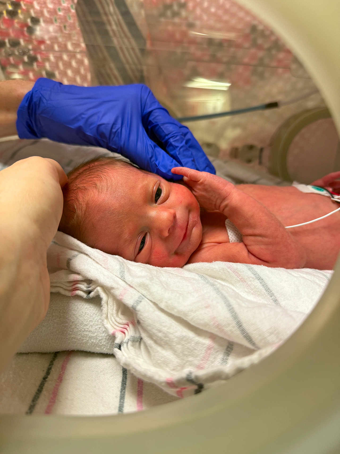 Hadley joined the competition — help win amazing prizes! newborn, baby, hospital, incubator, blanket, glove, hand, medical, premature, infant, care, healthcare, person, closeup, skin, resting, small, cute, fragile, patient