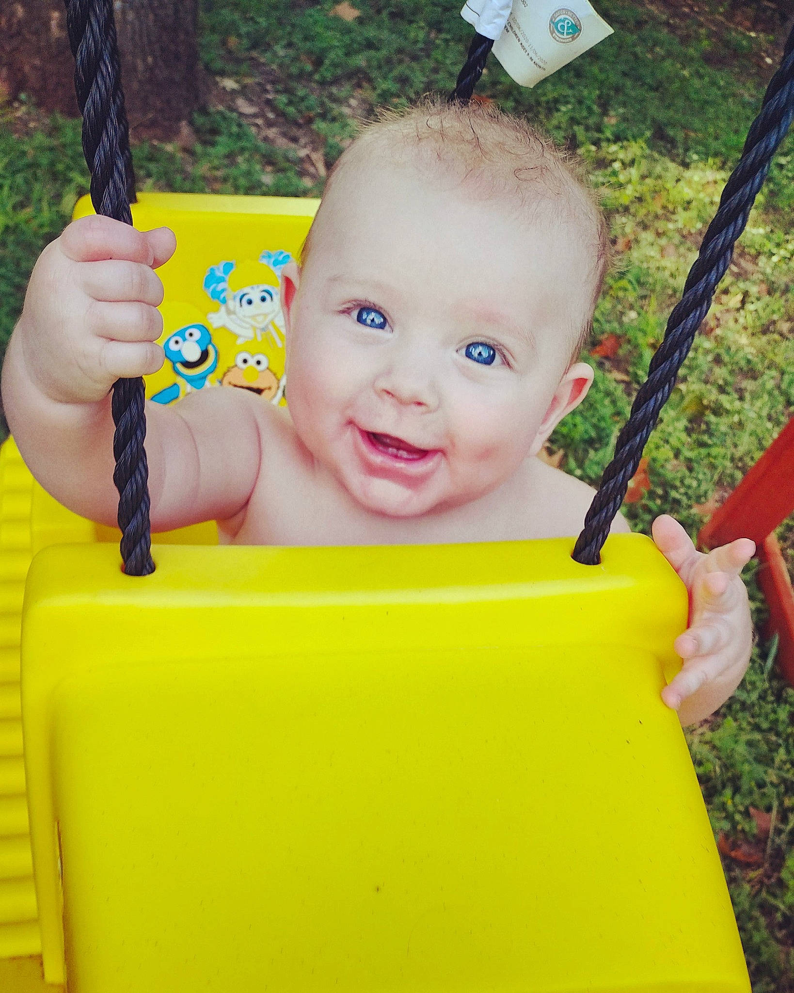 Logan joined the competition — help win amazing prizes! baby, baby_products, chair, child, facial_expression, finger, fun, grass, hairstyle, happy, leisure, outdoor_play_equipment, person, play, recreation, sitting, skin, smile, swing, toddler