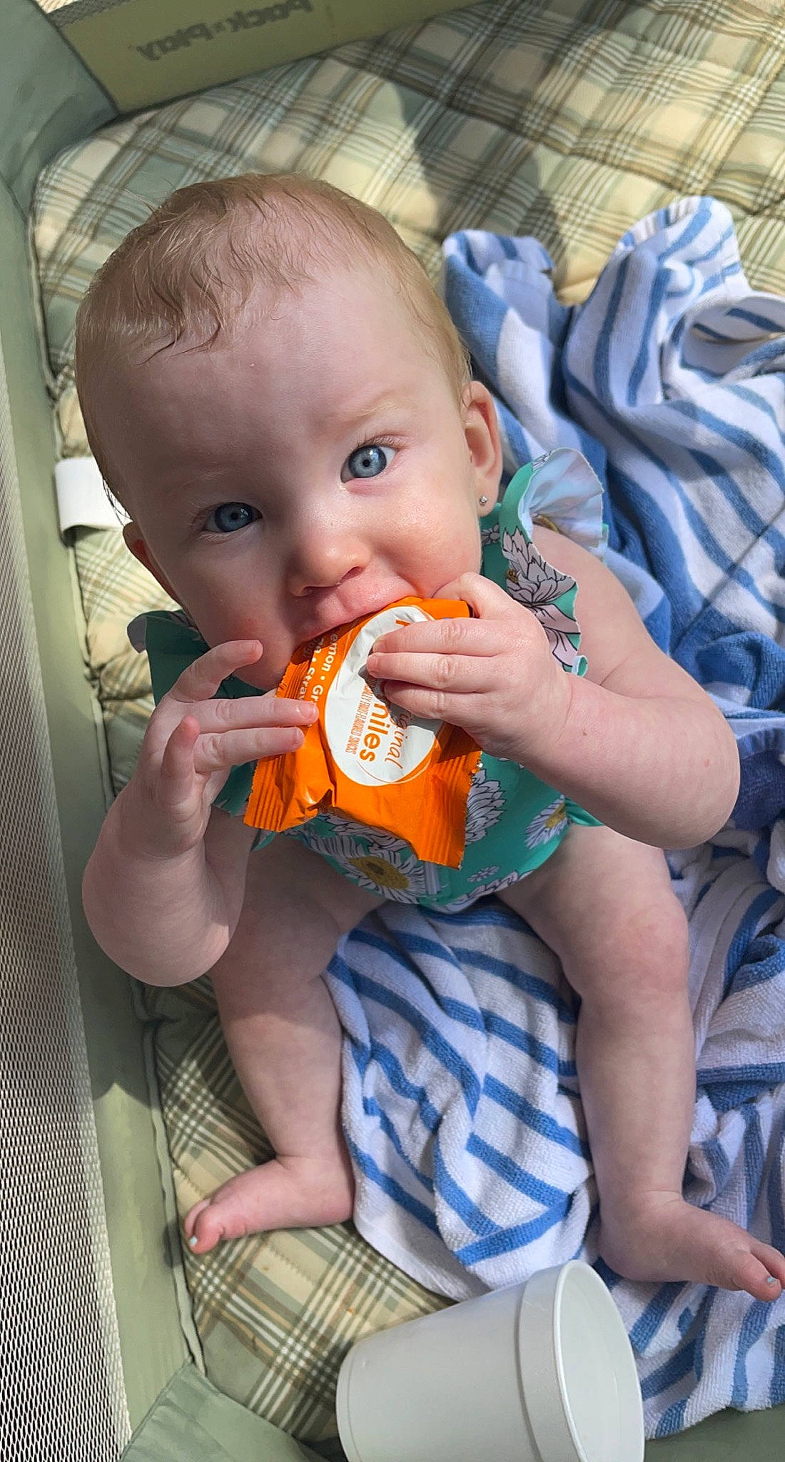 Kora is registered to the contest to win money with this photo: baby, baby_toddler_clothing, bib, biting, child, eating, finger, food_craving, fun, iris, lip, mouth, nail, nose, orange, person, sitting, skin, sweetness, tableware