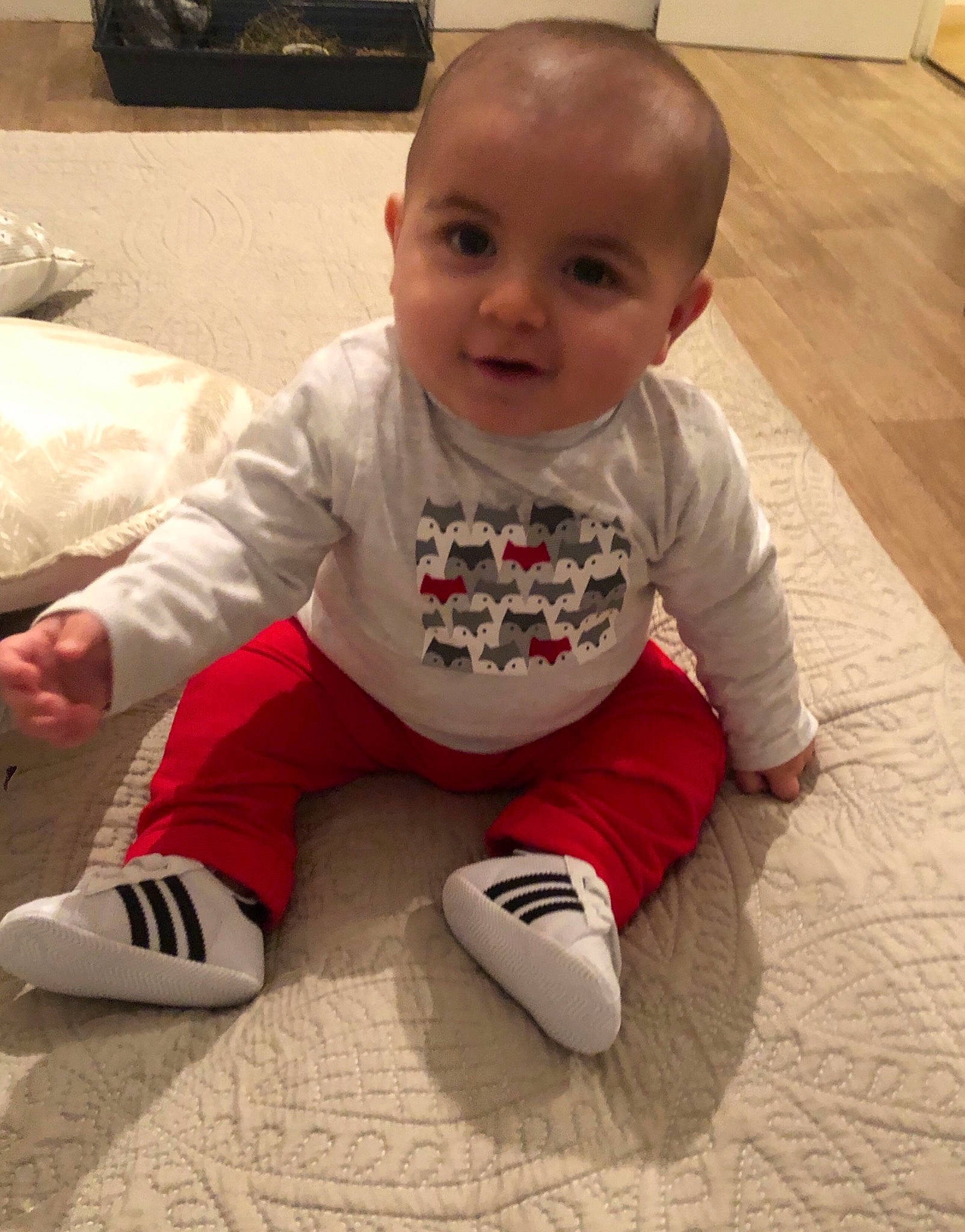 Arsène a rejoint le concours — aidez-le/la à gagner de superbes lots ! arm, boy, child, crawling, day, flooring, fun, infant, leg, material, person, play, product, sitting, skin, smile, textile, toddler