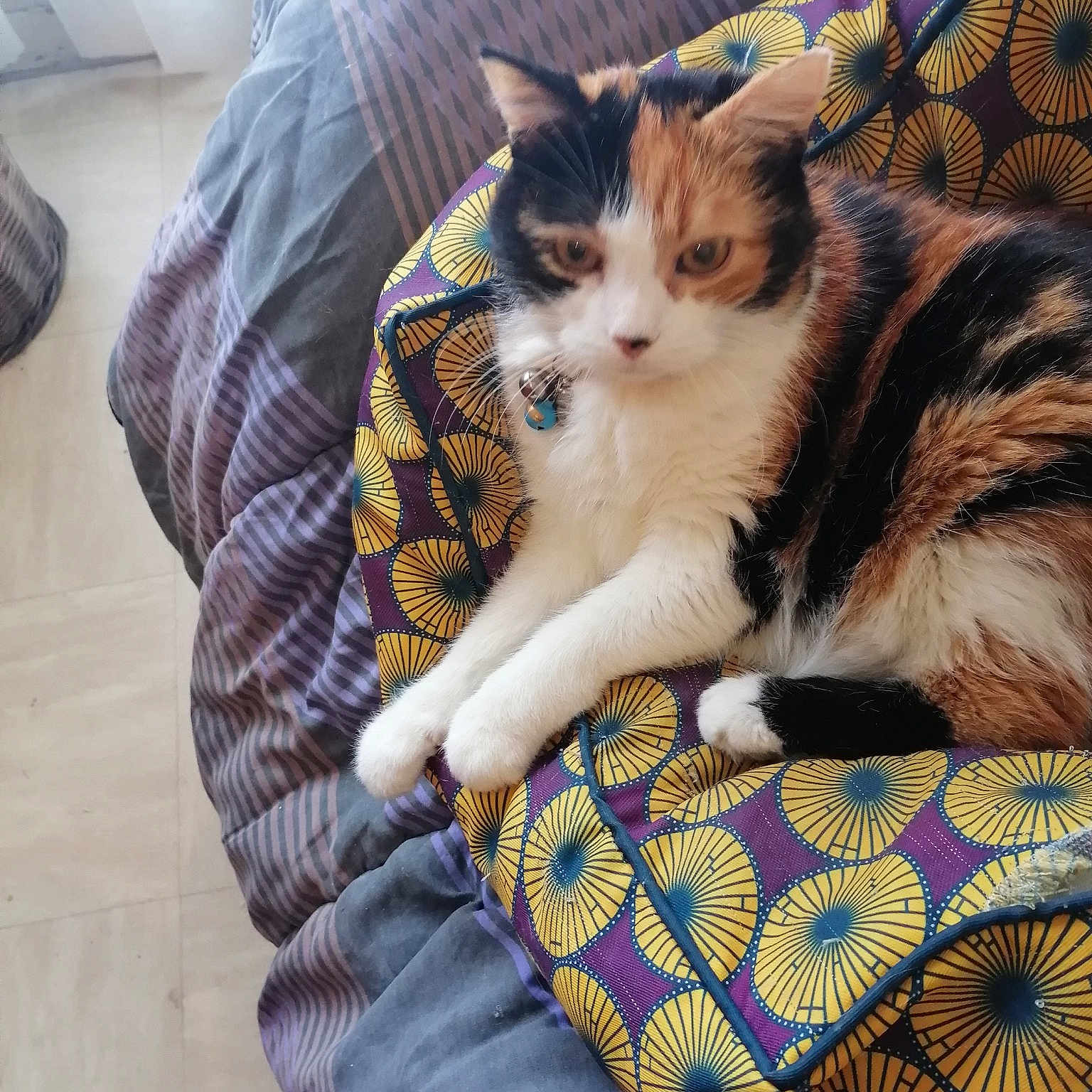 Inaya