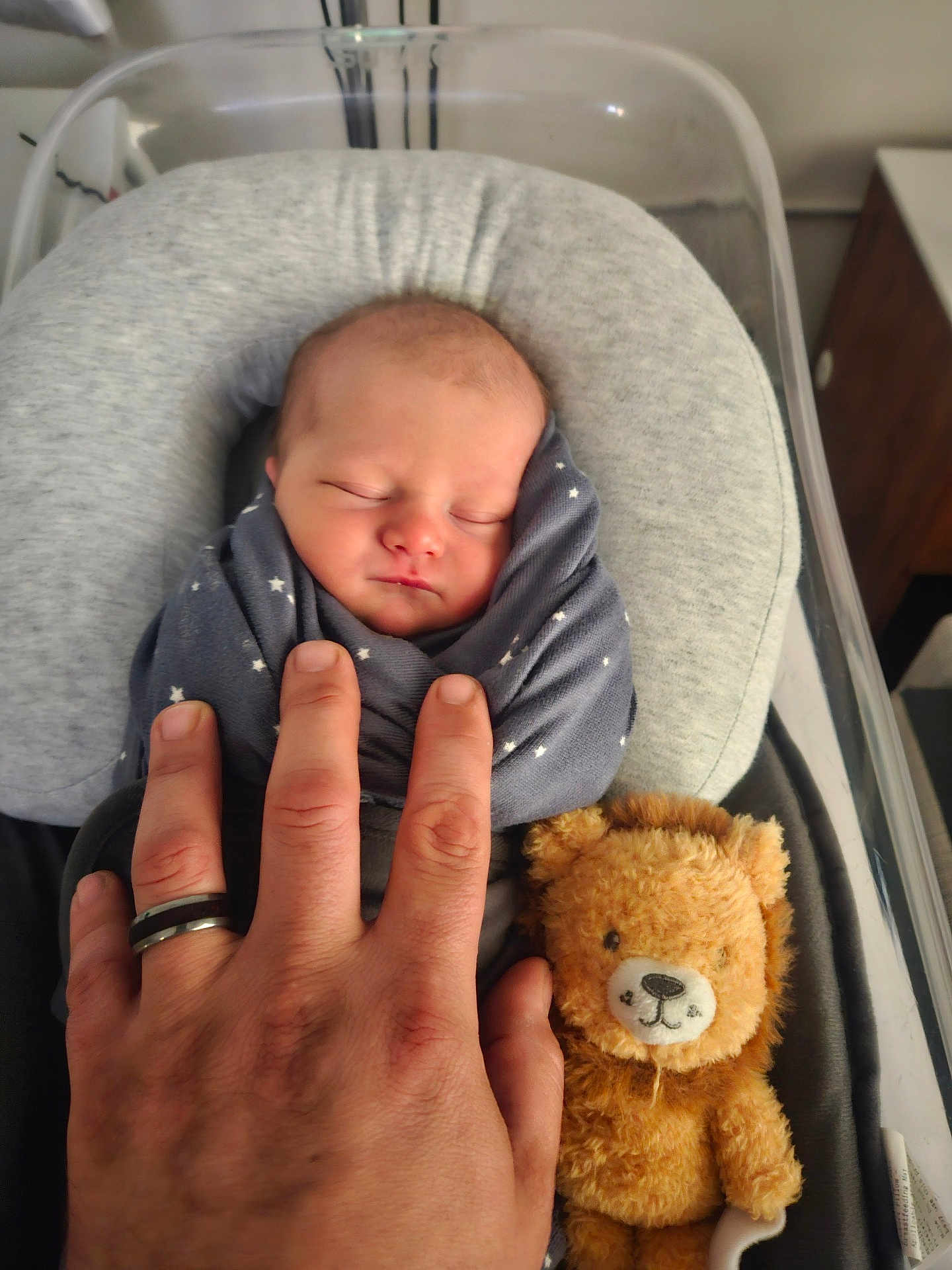 Kaiden joined the competition — help win amazing prizes! newborn, baby, swaddle, blanket, hand, adult_hand, ring, plush_toy, lion_toy, sleeping, infant, bed, cushion, nursery, resting, peaceful, cute, soft_toy, indoor, child