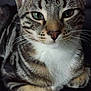 Tiago participe au concours pour gagner de l'argent avec cette photo :