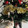 cat, christmas_tree, ornament, tinsel, santa_figurine, holiday, decorations, indoor, feline, white_fur, blue_eyes, floor_tile, festive, tree_skirt, gift, red, green, gold, white, holiday_decor