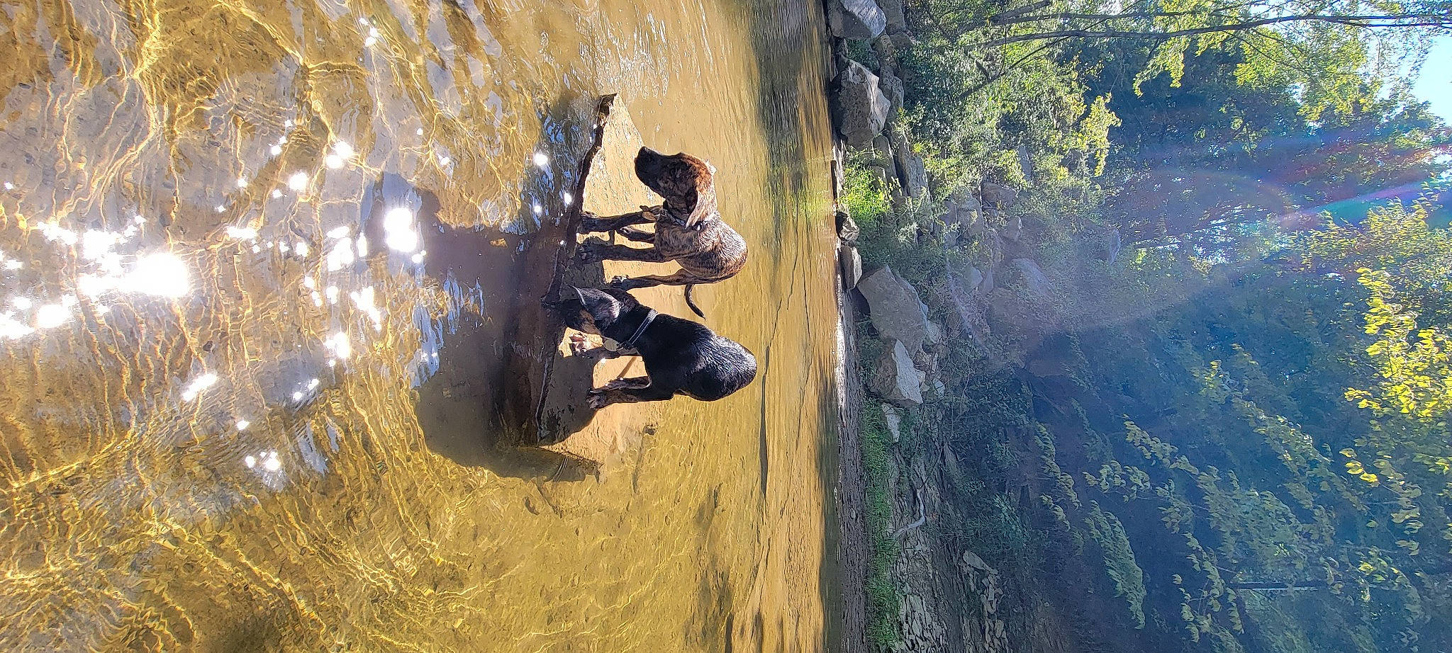 Camo joined the competition — help win amazing prizes! adventure, air_sports, climbing, extreme_sport, forest, formation, fun, landscape, leisure, people_in_nature, plant, recreation, reflection, rock, rock_climbing_equipment, soil, sport_climbing, tree, trunk, water