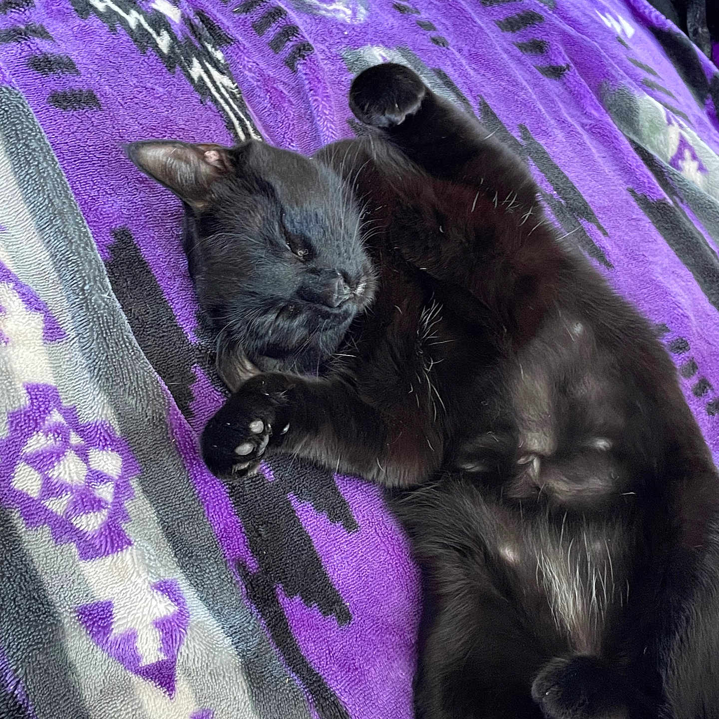 Binx