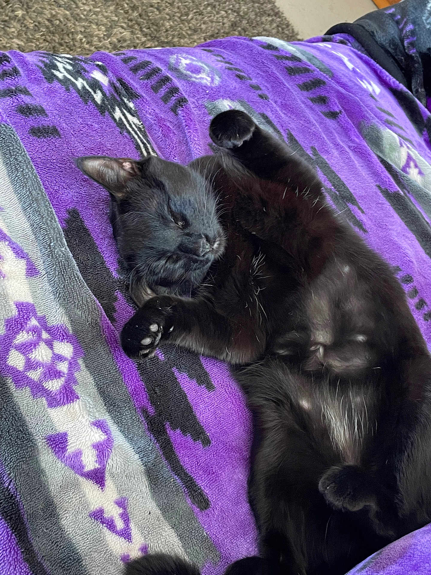 Binx