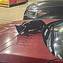 kitten, black_cat, car, parking_lot, night, leash, harness, animal, pet, exploring, red_car, vehicle, donation_box, outdoor, concrete, curious, small_animal, domestic_cat, urban, reflection