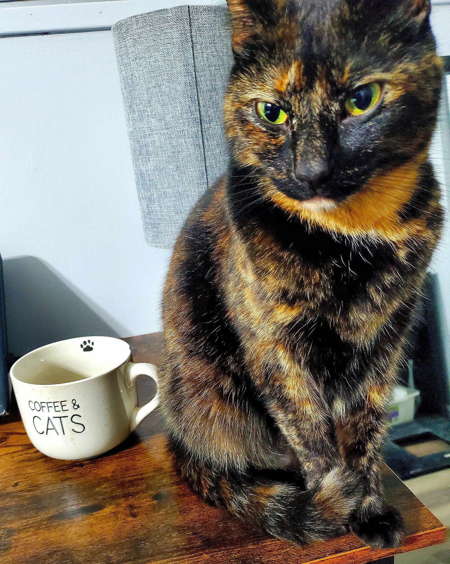 Luna