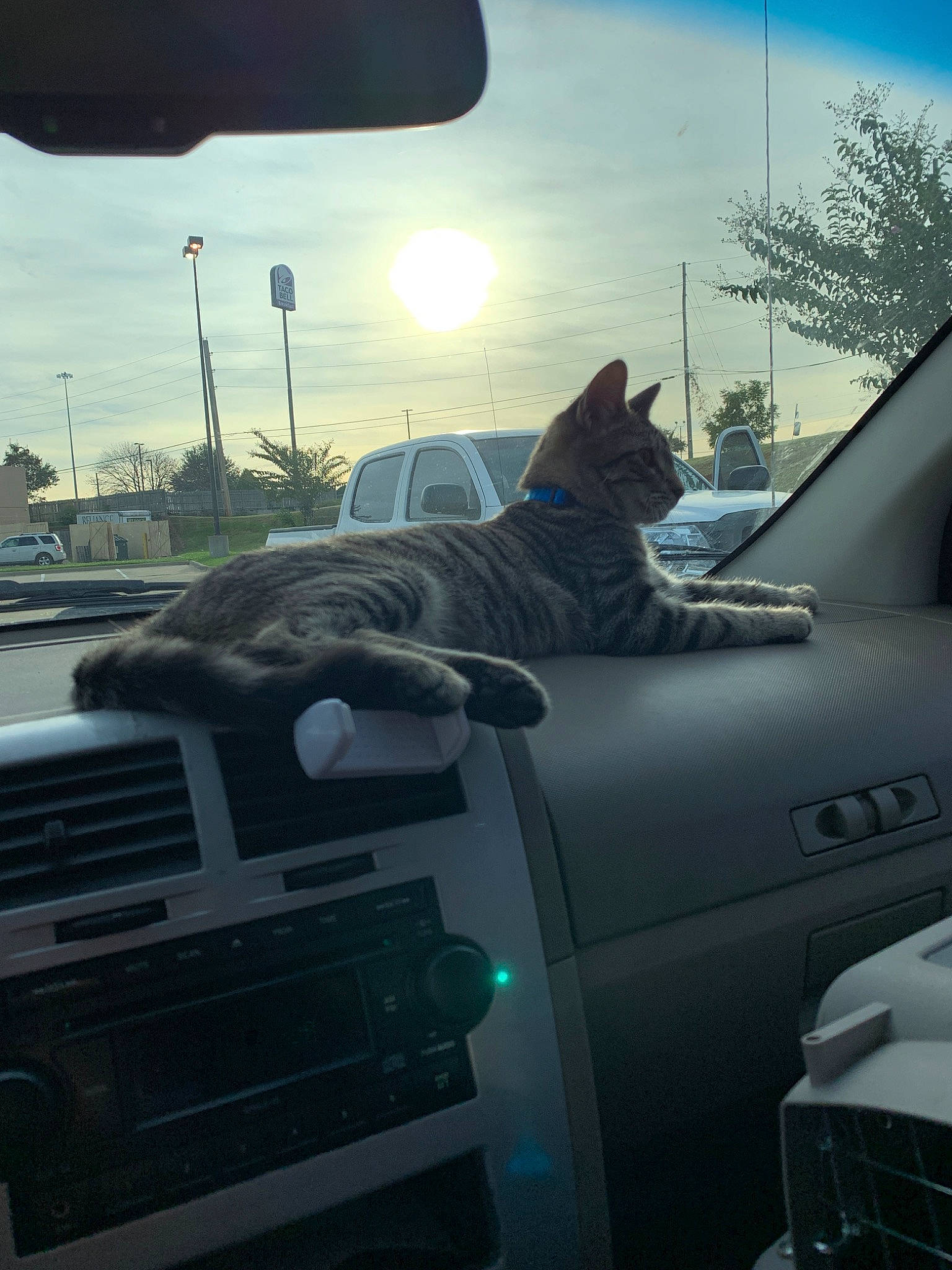 Topper is registered to the contest to win money with this photo: auto_part, automotive_exterior, automotive_window_part, car, cloud, compact_mpv, driving, family_car, glass, metal, mode_of_transport, plant, road, road_trip, sky, traffic, vehicle, vehicle_door, windshield