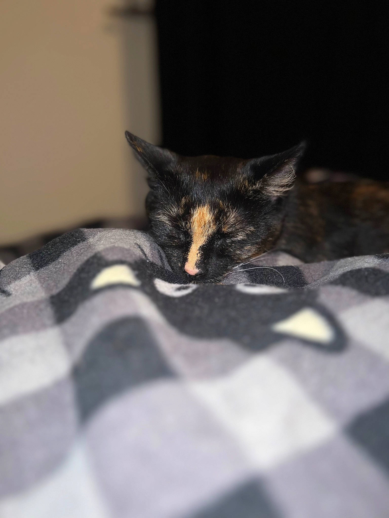 Nala is registered to the contest to win money with this photo: bed, black_cat, carnivore, cat, claw, comfort, darkness, domestic_short_haired_cat, felidae, flooring, fur, grey, human_leg, pattern, paw, plaid, small_to_medium_sized_cats, tail, tartan, whiskers