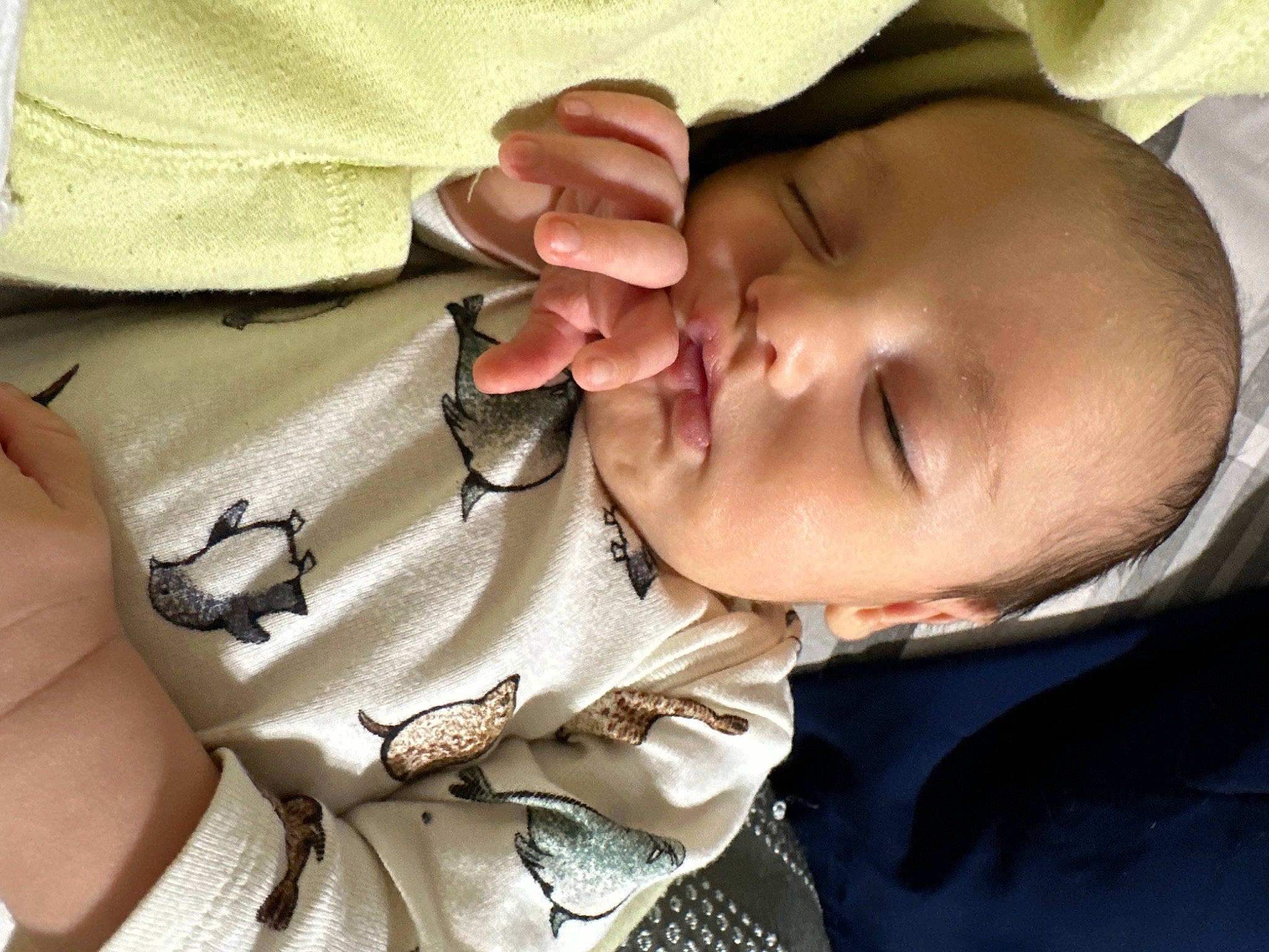 Jupiter joined the competition — help win amazing prizes! baby, baby_toddler_clothing, cheek, comfort, ear, eye, eyebrow, eyelash, face, finger, gesture, hand, head, lip, mouth, neck, nose, person, skin, sleeve