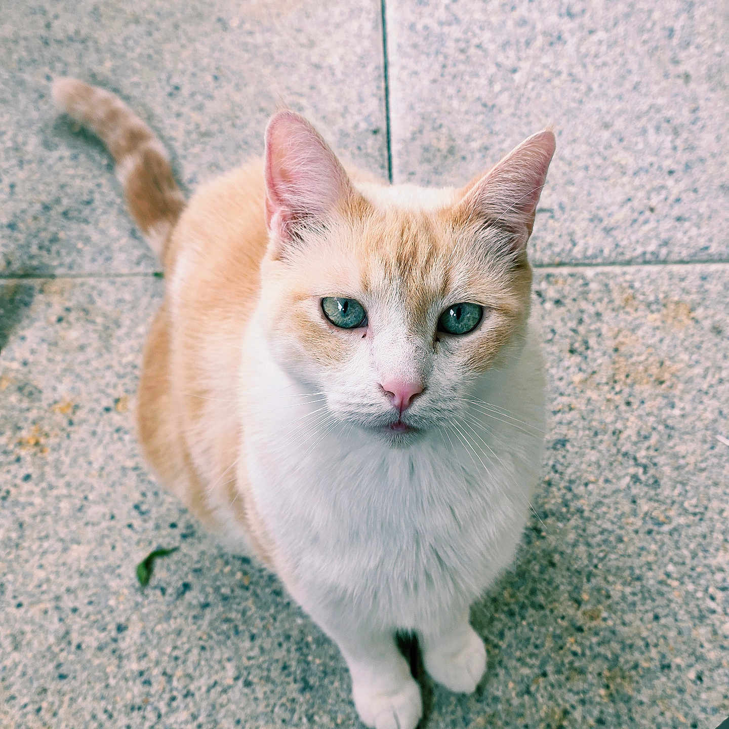 Scratchy