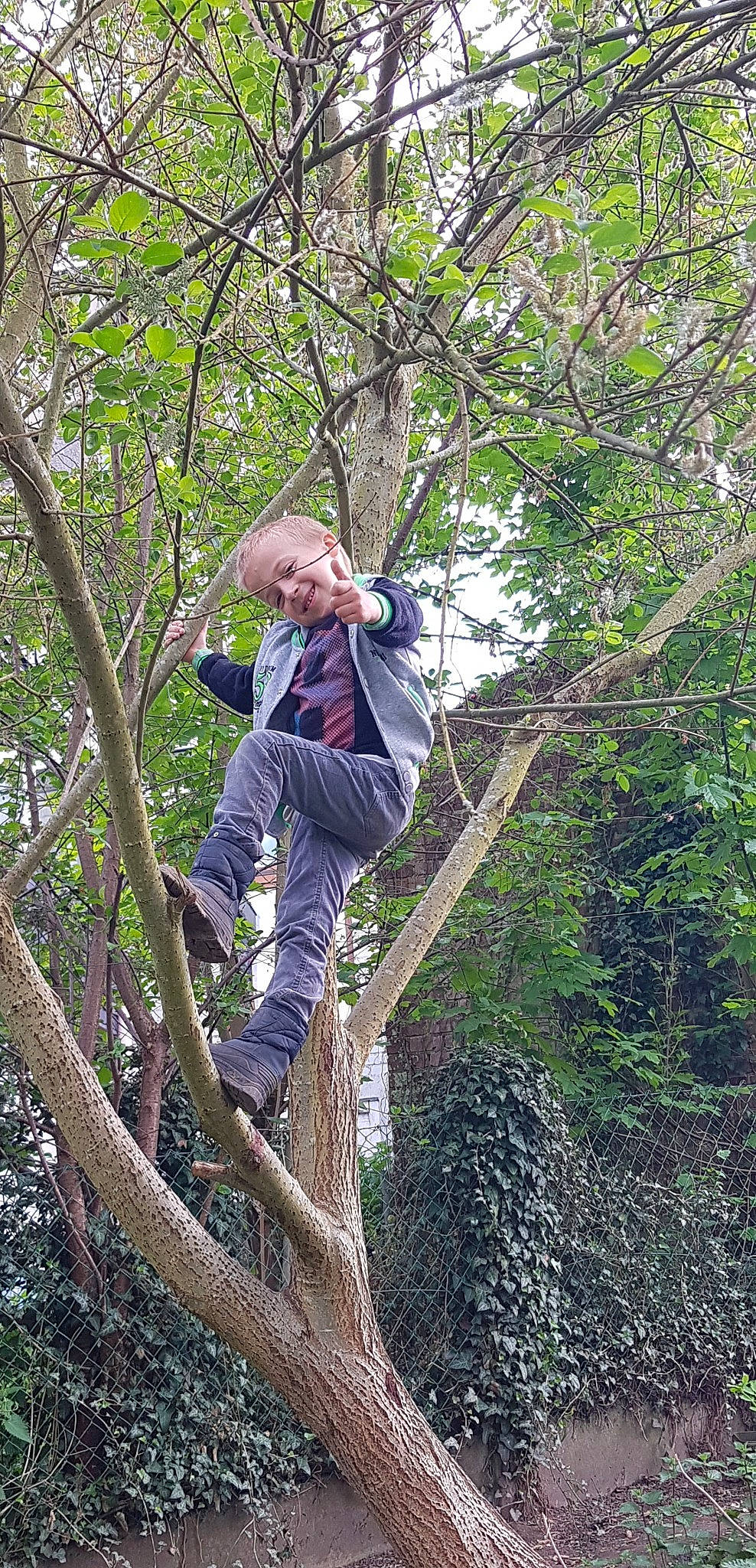 Edwyn participe au concours pour gagner de l'argent avec cette photo : adventure, bungee_cord, electric_blue, forest, joy, jungle, leisure, old_growth_forest, outdoor_shoe, people_in_nature, person, plant, rainforest, recreation, rope, sports, terrestrial_plant, tree, trunk, twig