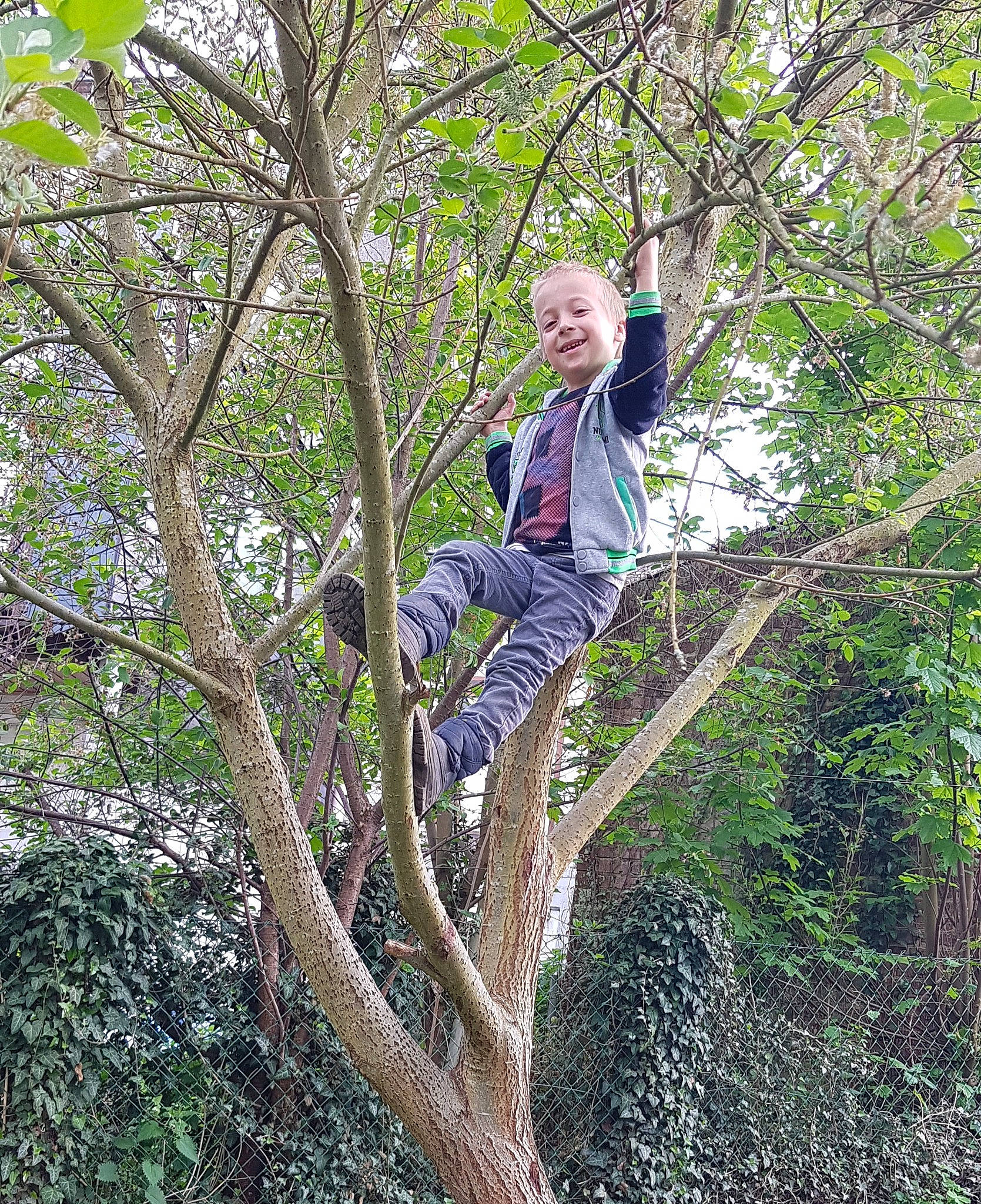 Edwyn participe au concours pour gagner de l'argent avec cette photo : balance, electric_blue, forest, fun, grass, joy, jungle, leisure, natural_landscape, northern_hardwood_forest, people_in_nature, person, plant, recreation, temperate_broadleaf_and_mixed_forest, terrestrial_plant, tree, trunk, twig, valdivian_temperate_rain_forest