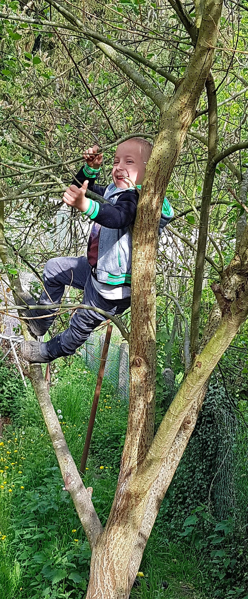 Edwyn a rejoint le concours — aidez-le/la à gagner de superbes lots ! adventure, bungee_cord, climbing_harness, forest, jungle, leisure, outdoor_shoe, people_in_nature, person, plant, recreation, rock_climbing_equipment, rope, shorts, sneakers, sports, terrestrial_plant, tree, trousers, trunk