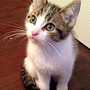 Poppi Vella is registered to the contest to win money with this photo: