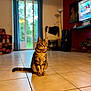 cat, tabby_cat, indoor, living_room, tiled_floor, window, curtains, lamp, television, furniture, plant, blurred_background, pet, animal, sitting, calm, striped_fur, domestic_cat, home, cozy