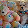 dog, stuffed_bear, plush_toy, couch, pillow, blanket, bandana, peace_sign, floral_pattern, pet, small_dog, fur, portrait, indoor, cozy, colorful, toy, sitting, close_up, home