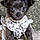 Widget