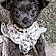 Widget
