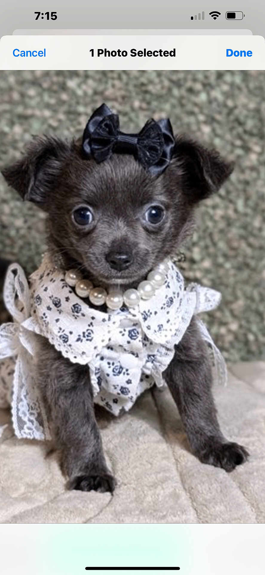 Widget