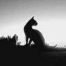 cat, silhouette, black_and_white, animal, nature, sky, trees, outdoor, pet, profile, calm, peaceful, shadow, evening, wildlife, quiet, sitting, mystery, landscape, contrast