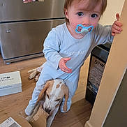 Sharlie a rejoint le concours — aidez-le/la à gagner de superbes lots ! toddler, pacifier, dog, cardboard_box, kitchen, wooden_floor, refrigerator, family_photos, child, pet, indoor, curious, clothing, doorway, playful, holding, floor, animal, baby, home