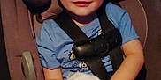Sebastian is registered to the contest to win money with this photo: child, car_seat, bunny, animal, pet, blue_shirt, seatbelt, vehicle_interior, young_child, smiling, holding, cute, comfort, safety, portrait, baby, car, child_safety, animal_pet, innocence