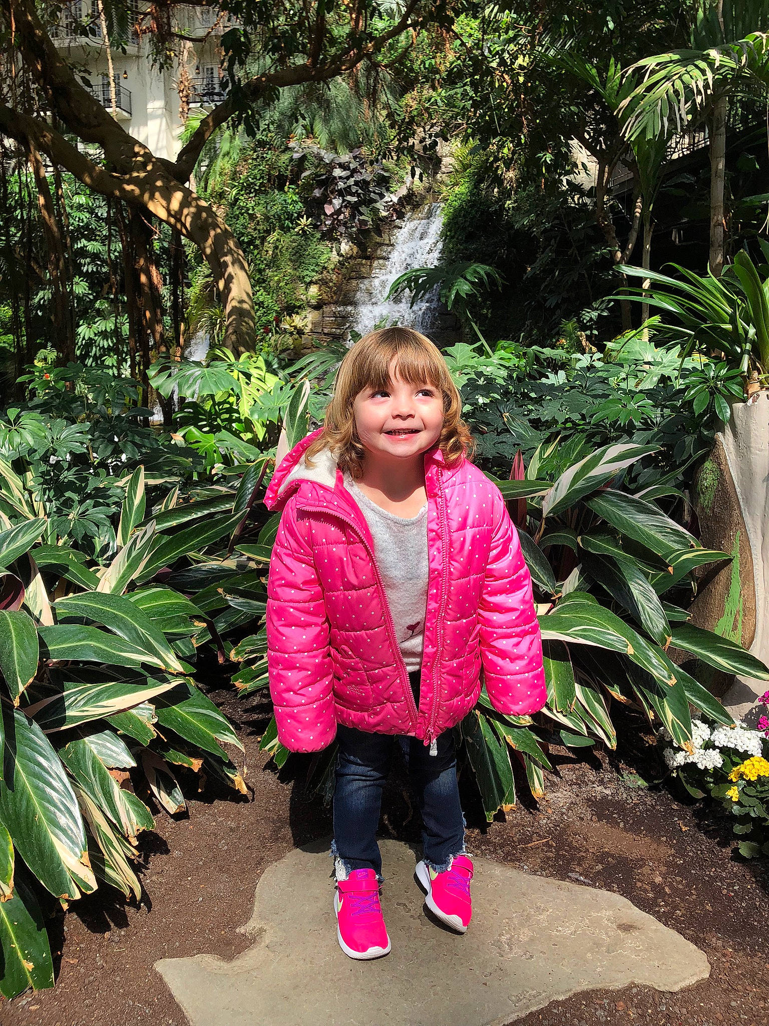 Ayva joined the competition — help win amazing prizes! adaptation, botanical_garden, botany, child, flower, forest, garden, jacket, joy, jungle, leaf, leisure, outerwear, person, pink, plant, rainforest, smile, terrestrial_plant, tourism