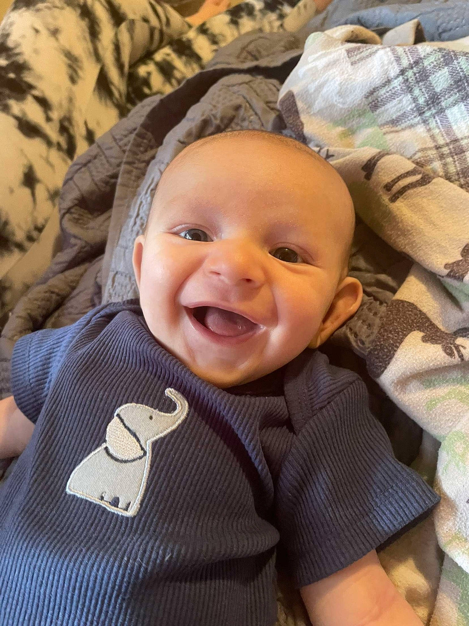 Luis is registered to the contest to win money with this photo: baby, baby_laughing, baby_products, baby_toddler_clothing, cheek, child, comfort, eye, fun, happy, head, laugh, linens, pattern, person, polar_fleece, portrait_photography, sleeve, smile, textile