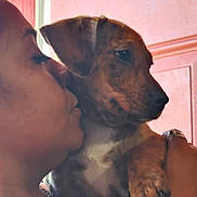 Gambino is registered to the contest to win money with this photo: person, dog, pet, holding, close_up, indoor, face, brown_dog, paw, chain_necklace, door, affection, cute, animal, love, portrait, skin, ear, snout, fingernail