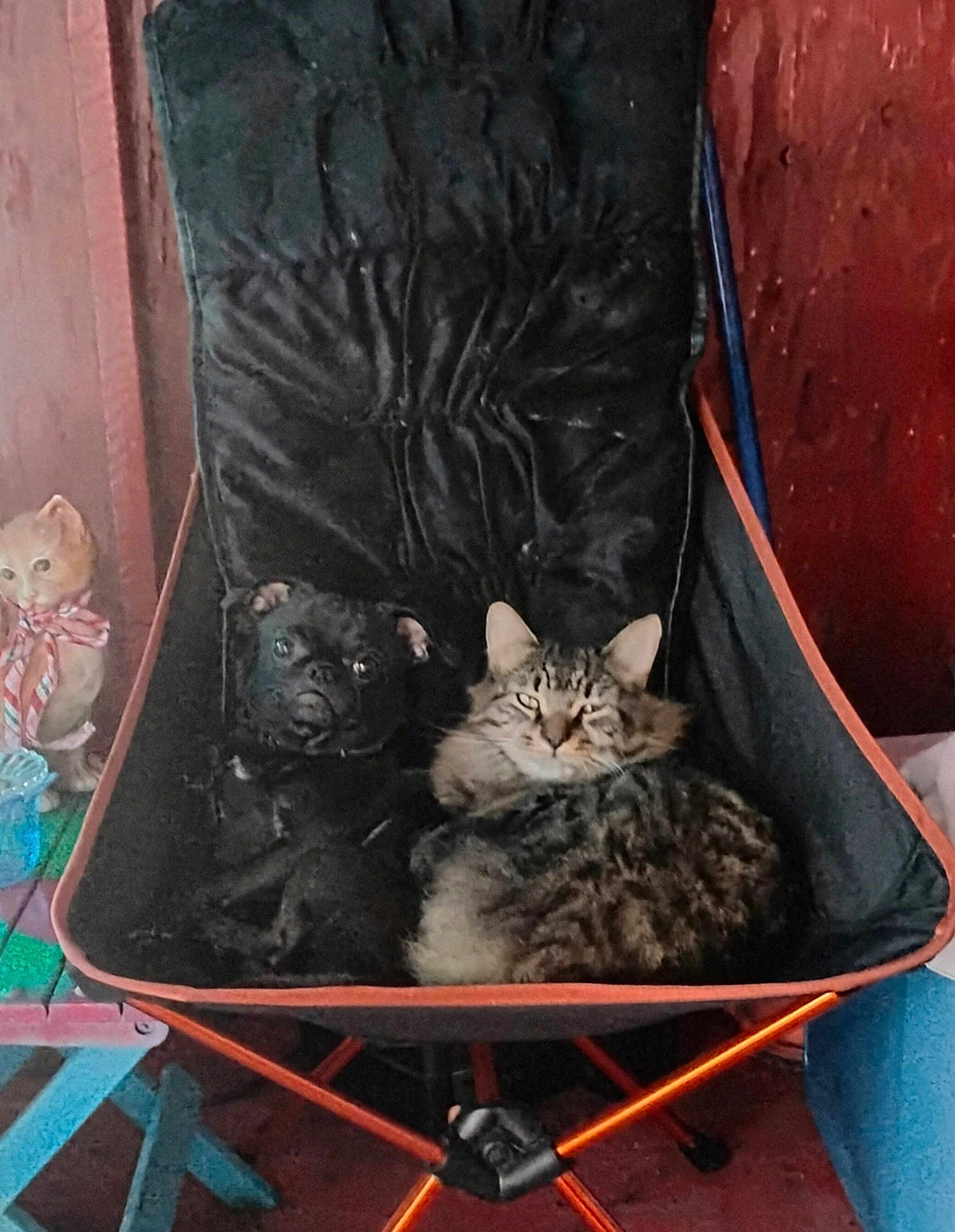 Puggy N Kid joined the competition — help win amazing prizes! dog, cat, chair, pet, animal, indoor, furniture, tabby_cat, black_dog, figurine, decor, snuggling, cozy, looking_at_camera, resting, companion, cute, domestic, curious, relaxed