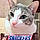Snickers