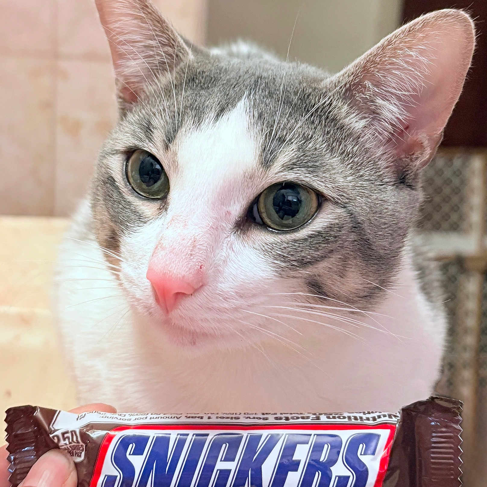 Snickers