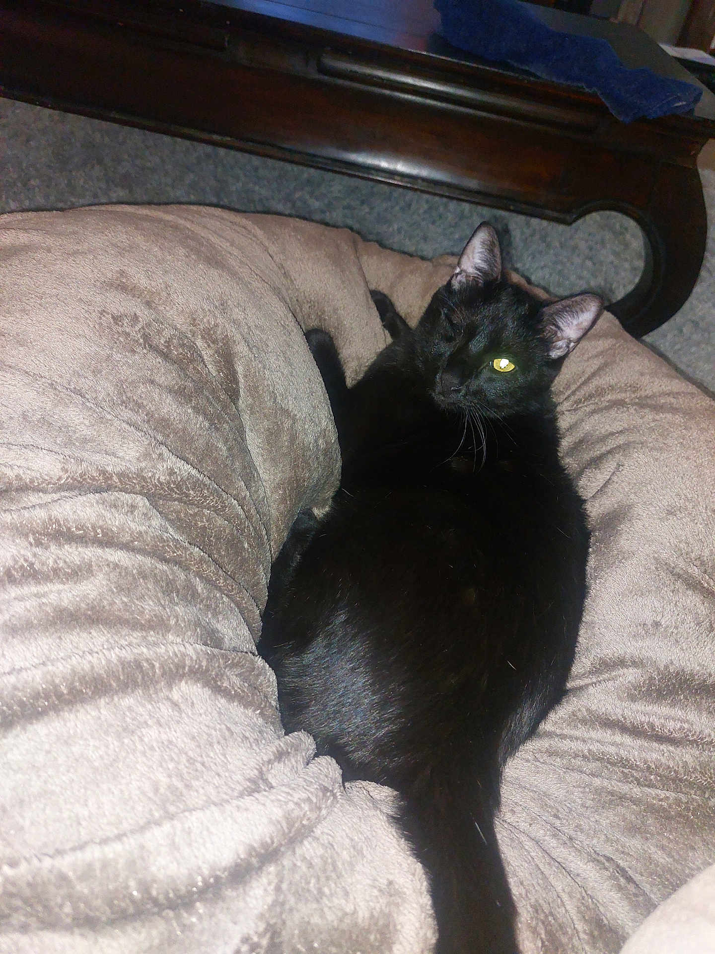 Niro